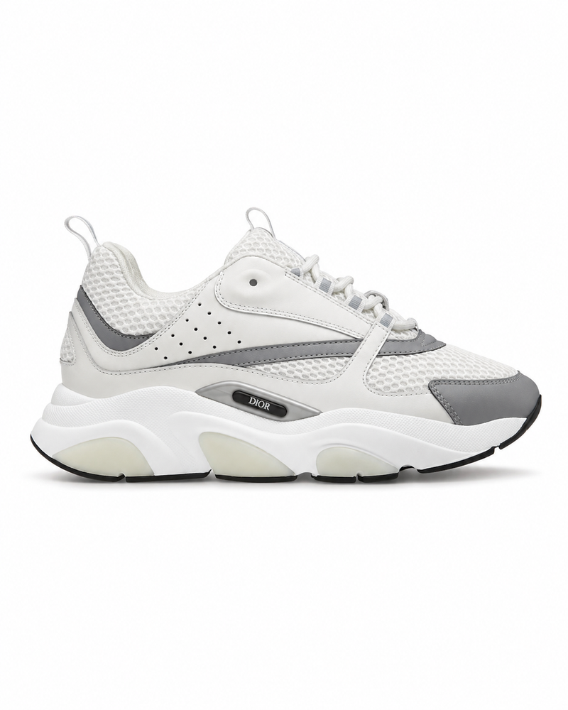 Dior B22 | White & Grey