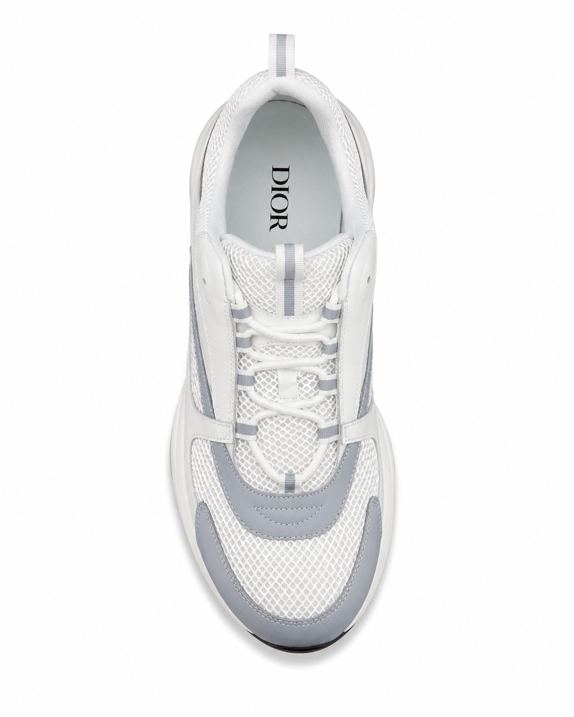 Dior B22 | White & Grey