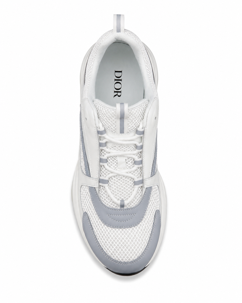 Dior B22 | White & Grey